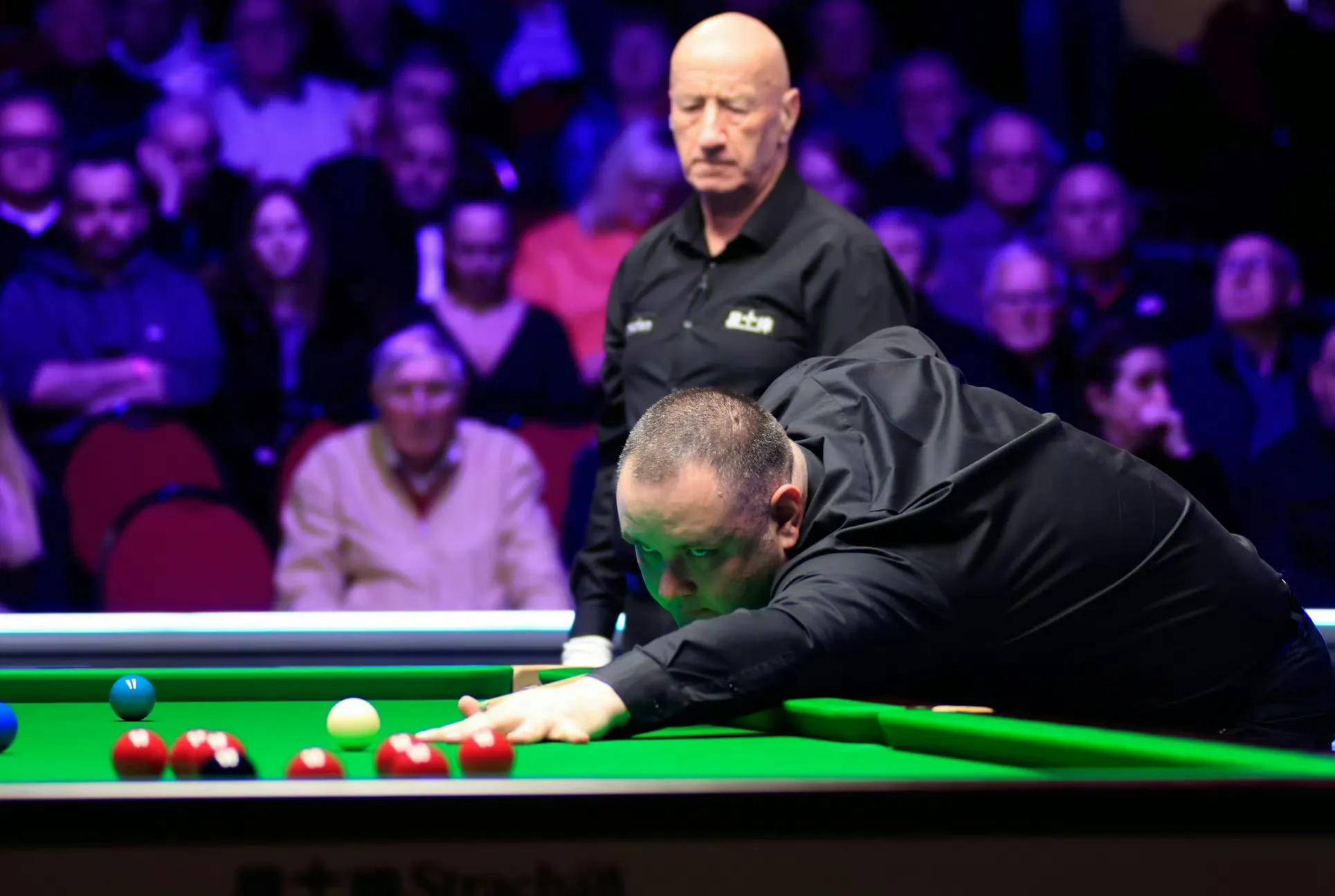 无论是肌肉 无论是肌肉