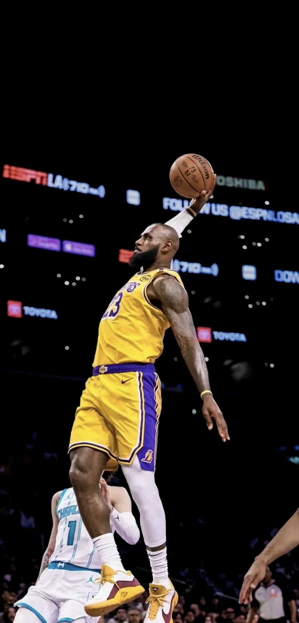 如果你期待 如果你期待